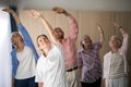 Smiling female doctor and seniors exercising with arms raised Royalty Free Stock Photo