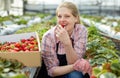 Smiling female gardener in apron holding in hand fresh strawberry