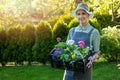 Smiling female gardener holding crate with colorful ornamental flowers. gardening services. copy space
