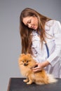 Smiling female vet with phonendoscope holding cute pomeranian do Royalty Free Stock Photo