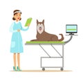 Smiling female veterinarian examining dog in vet clinic. Colorful cartoon character