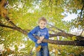 Smiling five year old boy climbing in tree