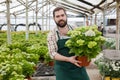 Florist holding potted hydrangea