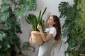 Smiling florist woman hold pot with Sansevieria plant work in indoor garden or cozy home office Royalty Free Stock Photo