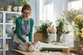 Smiling florist working Royalty Free Stock Photo