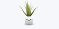 Smiling Flowerpot with Growing Green Ornamental Grass, Plant with Long Leaves - Design on White Background