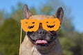 Smiling French Bulldog dog wearing orange paper photo prop glasses in the shape of orange carved pumpkins