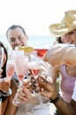 Smiling friends celebrating a special occasion with drinks Royalty Free Stock Photo