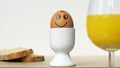 Smiling funny egg Royalty Free Stock Photo
