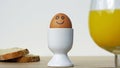 Smiling funny egg Royalty Free Stock Photo