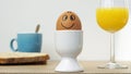 Smiling funny egg Royalty Free Stock Photo
