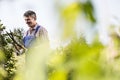 Smiling gardener trimming tree branches at plant nursery Royalty Free Stock Photo