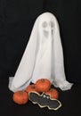 Smiling Ghost, Pumpkins, and a Bat Cookie Royalty Free Stock Photo