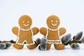 Smiling gingerbread couple and willow twig Royalty Free Stock Photo