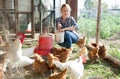 Smiling girl farmer feeding chicken from bucket with seed