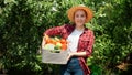 Smiling girl in hat walking in arden with harvest in big box. Fresh, ripe organic vegetables in box. Concept of small Royalty Free Stock Photo