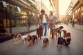 Smiling girl and man dog walker in the street with dogs Royalty Free Stock Photo