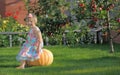 Smiling girl on pumpking Royalty Free Stock Photo