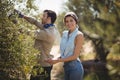 Smiling girlfriend with boyfriend plucking olives at farm