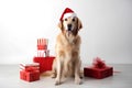 Smiling Golden retriever dog in Santa Claus Christmas red hat sitting near the gift boxes with ribbons on white background