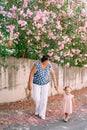 Smiling grandma with little girl walking holding hands on the road past pink blooming oleander