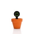 Smiling green black puppet flower pot Royalty Free Stock Photo