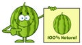 Smiling Green Watermelon Fresh Fruit Cartoon Mascot Character Pointing To A Blank Sign