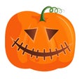 Isolated smiling Halloween pumpkin head on white