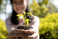 Smiling and happy asian child girl holding small tree for planting,female people showing young green plant in nature, campaign, Royalty Free Stock Photo