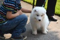 Smiling happy boy is playing with a cute pet dog, a white Japanese spitz puppy, on the street on a sunny summer day Royalty Free Stock Photo