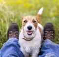 Smiling happy cute pet dog sitting in the grass with his owner Royalty Free Stock Photo