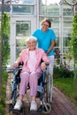 Smiling happy elderly lady in a wheelchair. Royalty Free Stock Photo