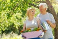 Senior couple gardening