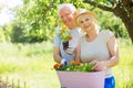 Senior couple gardening