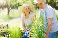 Senior couple gardening