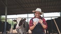 Smiling and happy farmers get income from the dairy farm. Agriculture industry, farming and animal husbandry concept ,Cow on dairy Royalty Free Stock Photo