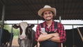 Smiling and happy farmers get income from the dairy farm. Agriculture industry, farming and animal husbandry concept ,Cow on dairy Royalty Free Stock Photo