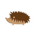 Smiling happy hedgehog standing with closed eyes isolated on white background