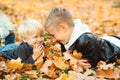 Smiling happy kids lying on autumn leaves. Cute brothers resting in autumn park. Autumn vacation