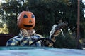 Smiling, happy, welcoming, fun friendly pumpkin head scarecrow driving an old truck to a halloween harvest party