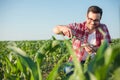 Smiling young agronomist or farmer taking and analyzing soil samples on a corn farm