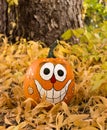 Smiling Jack O Lantern Royalty Free Stock Photo