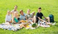 large family of six having picnic outdoors on green lawn in park Royalty Free Stock Photo