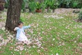 Smiling little Asian child girl sitting on green grass under tree trunk with falling pink flower in the park garden Royalty Free Stock Photo