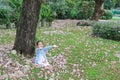 Smiling little Asian child girl sitting on green grass under tree trunk with falling pink flower in the park garden Royalty Free Stock Photo