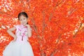 Smiling little Asian child girl wearing pink Traditional Chinese dress for Chinese New Year celebration on orange tree leaves Royalty Free Stock Photo