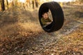 Smiling little boy with book in wheel swing outdoors Royalty Free Stock Photo