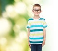 Smiling little boy in eyeglasses Royalty Free Stock Photo