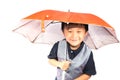 Smiling little boy holding colored umbrella Royalty Free Stock Photo