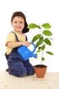 Smiling little boy watering the plant Royalty Free Stock Photo